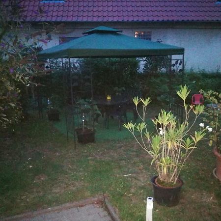 Ferienwohnung Am Finkenherd Dankerode  Extérieur photo