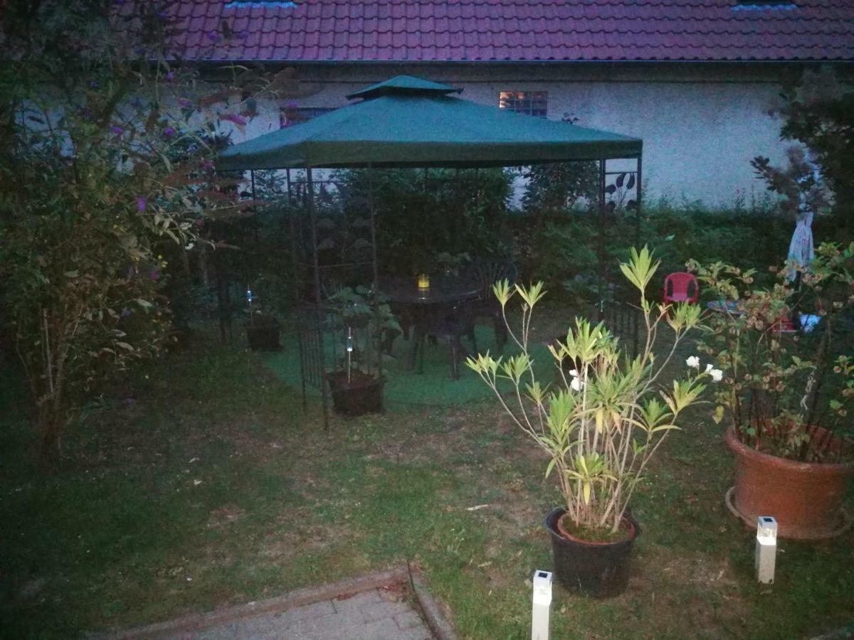 Ferienwohnung Am Finkenherd Dankerode  Extérieur photo
