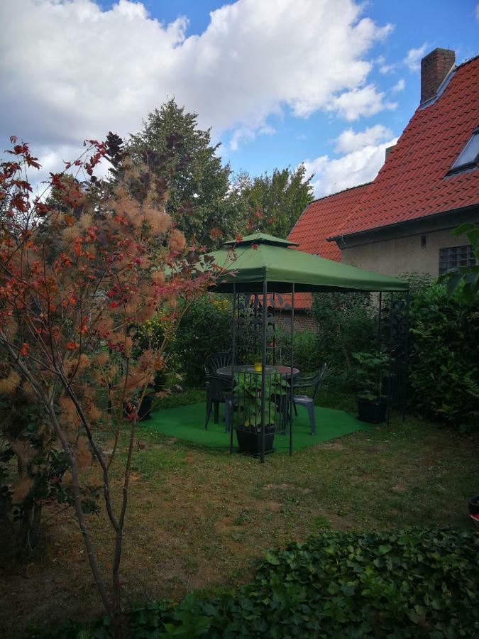 Ferienwohnung Am Finkenherd Dankerode  Extérieur photo