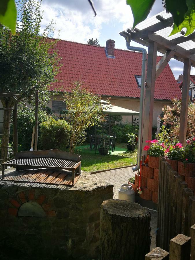 Ferienwohnung Am Finkenherd Dankerode  Extérieur photo