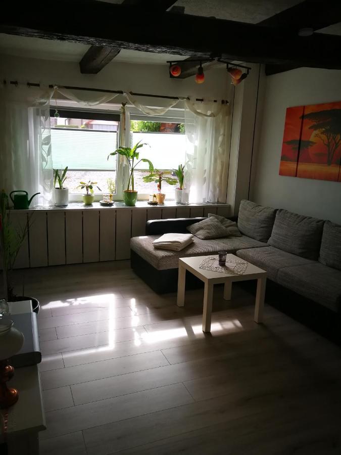 Ferienwohnung Am Finkenherd Dankerode  Extérieur photo